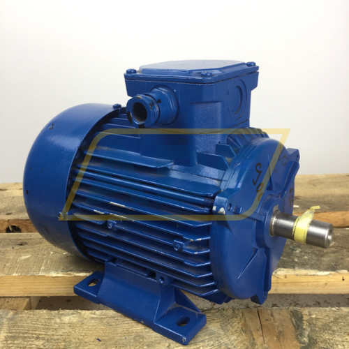 A4C0813A00017 Marelli Motori