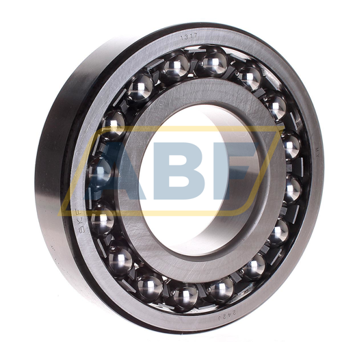 1317 SKF
