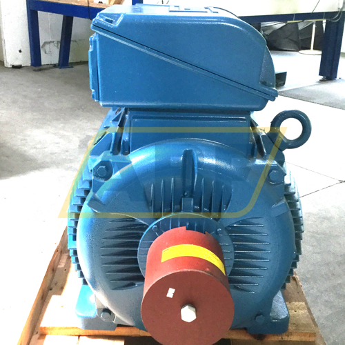 200K32CI2315L6B3 WEG