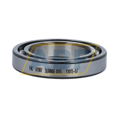 61907 FAG