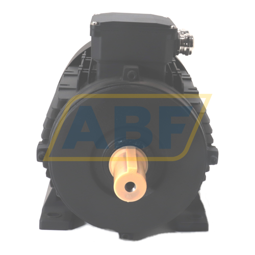 HMA2-132M1-6-B3 Hoyer