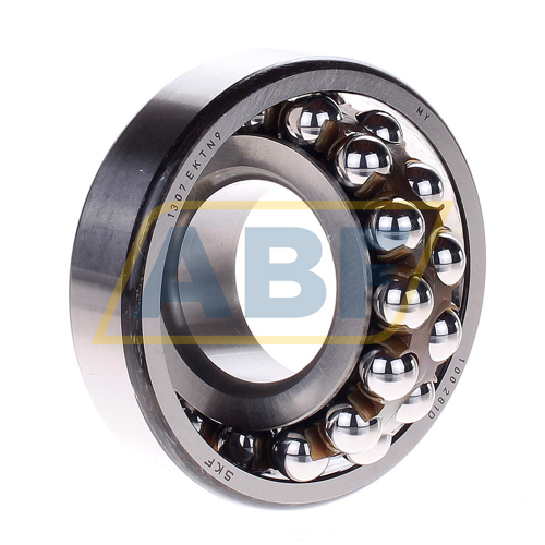 1307EKTN9 SKF