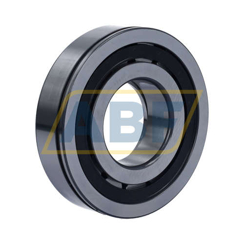 NUP309-E-XL-N-TVP2-C3 FAG