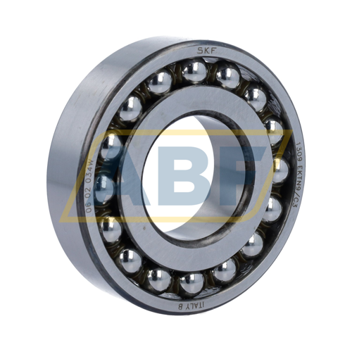 1309EKTN9/C3 SKF
