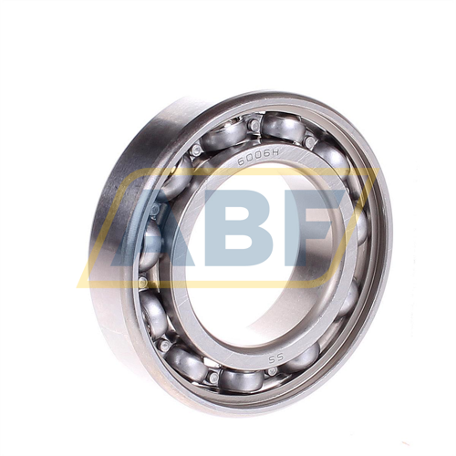 W6006 SKF