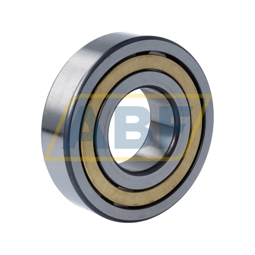 NJ308-E-XL-M1-F1-C3 FAG