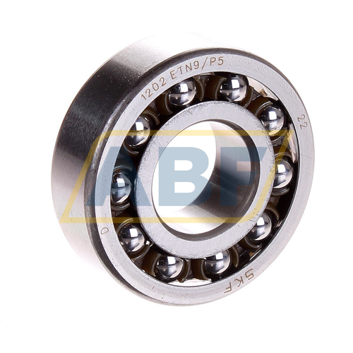 1202ETN9/P5 SKF