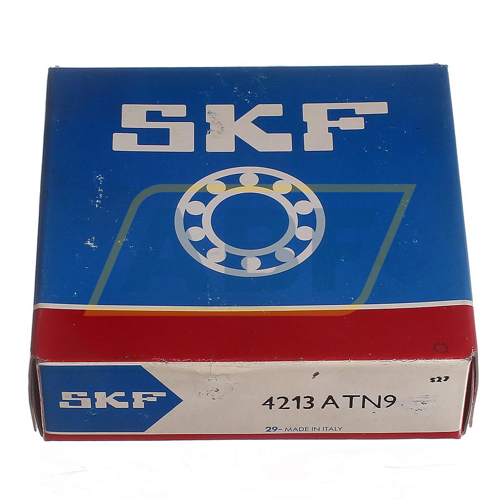 4213ATN9 SKF