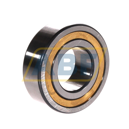 NJ2206-E-XL-M1A-C3 FAG