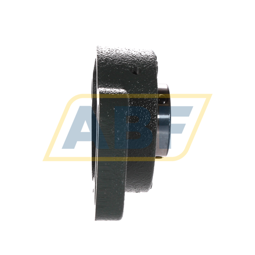 UCFA206D1 NSK