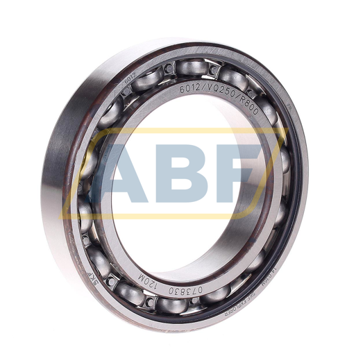 6012/VQ250/R800 SKF