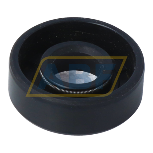 SC12X30X10 NAK Sealing Technologies