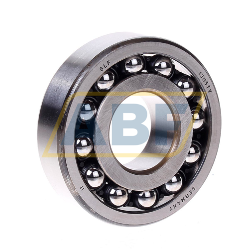 1305TV SLF Fraureuth