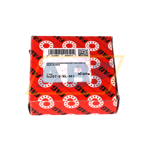 N207-E-XL-M1 FAG