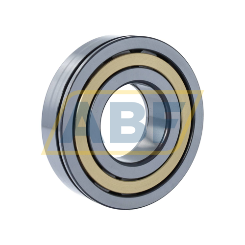 NUP311-E-XL-N-M1-C3 FAG