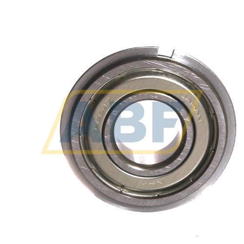 6204ZZNR NSK