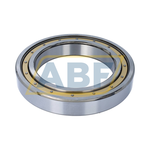 6032M SKF