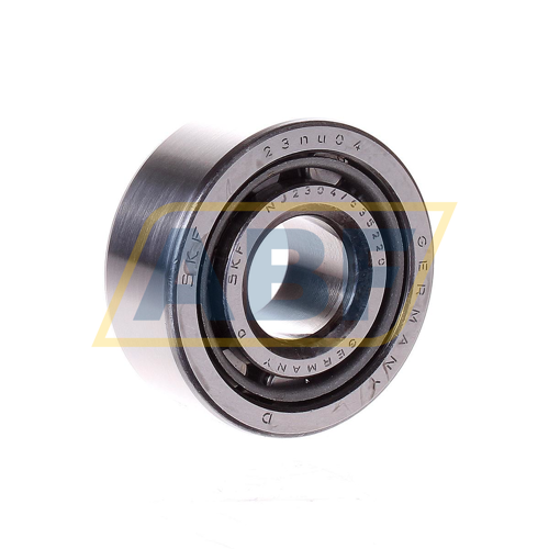 NJ2304 SKF