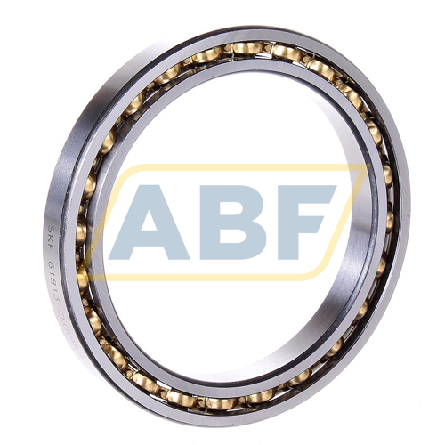 61813 SKF