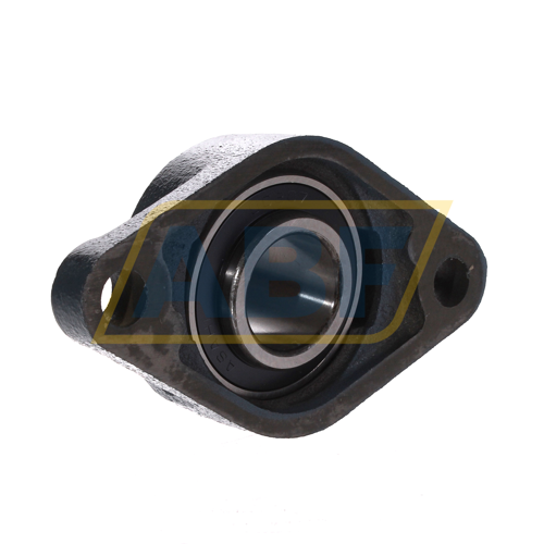 UCFL207 Asahi