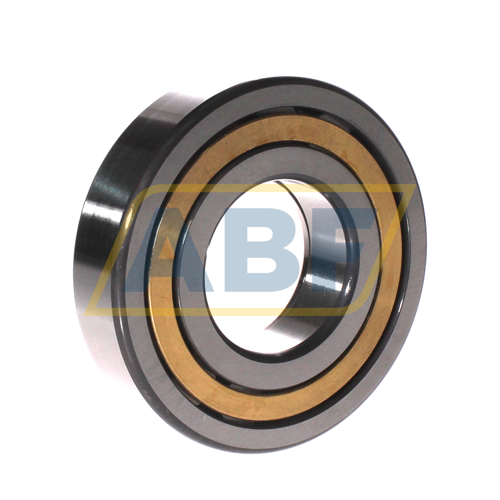 NUP310-E-XL-M1-C3 FAG