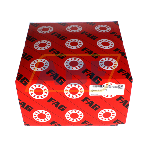 NJ2319-E-XL-TVP2-C3 FAG