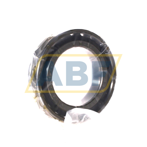 N1011-D-TVP-SP-XL FAG