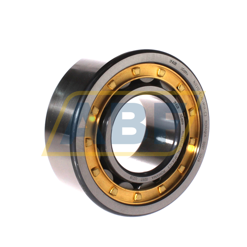 NJ2322-E-XL-M1A-C3 FAG