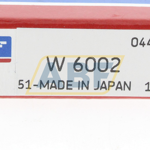 W6002 SKF