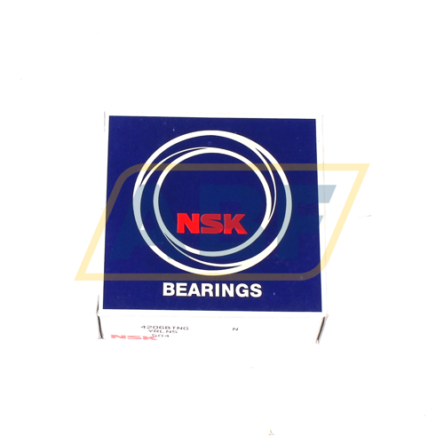 4206BTNG NSK