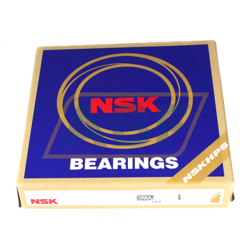6022CM NSK