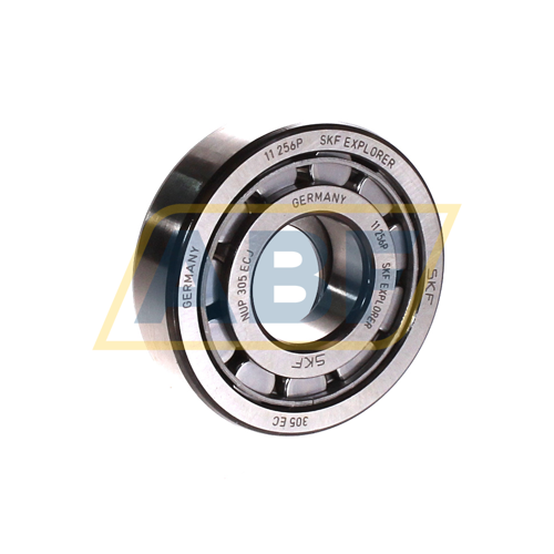 NUP305ECJ SKF