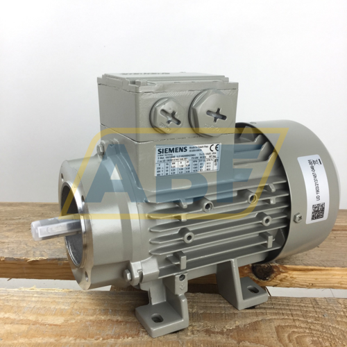 1LE1002-0BB62-2NA4 Siemens