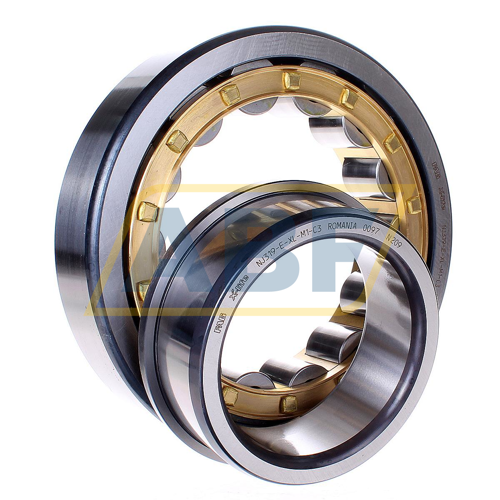 NJ319-E-XL-M1-C3 FAG