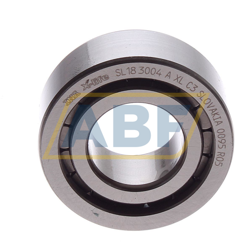 SL183004-A-XL-C3 INA