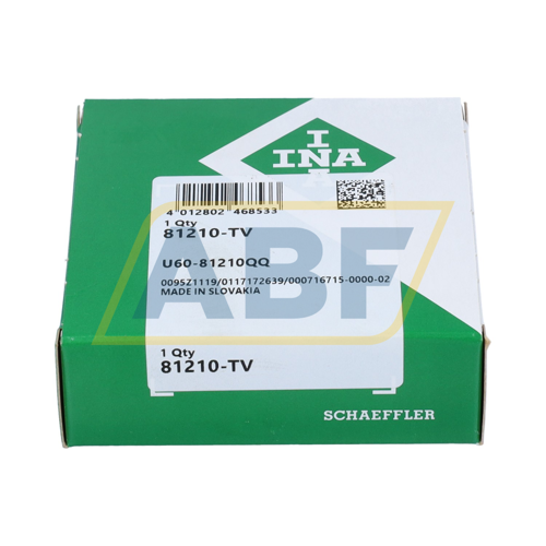 81210-TV INA