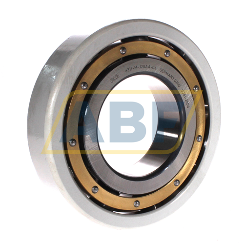 6319-M-J20AA-C4 FAG