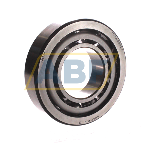 7313BEAW NSK
