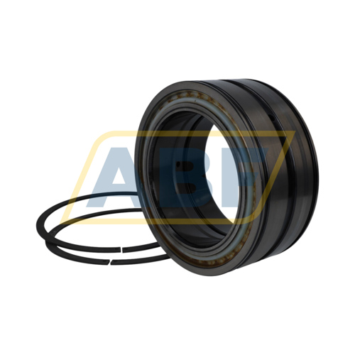 SL04130-D-PP-2NR INA