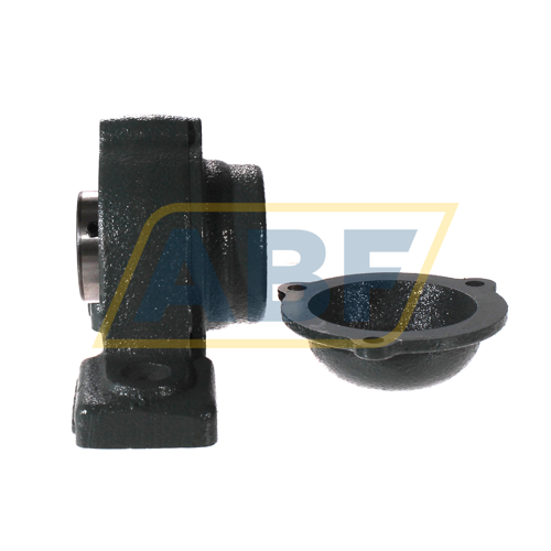 CM-UCP205D1 NTN