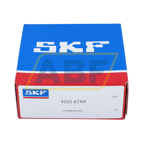 4213ATN9 SKF