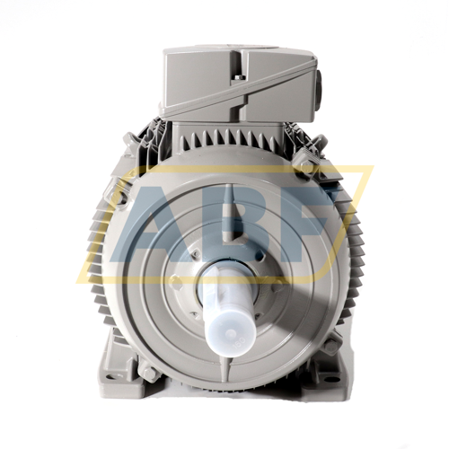 1LE1003-1DB43-4AA4 Siemens