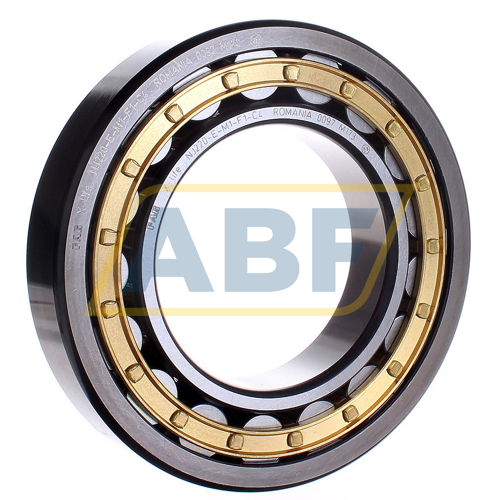 NJ220-E-M1-F1-C4 FAG