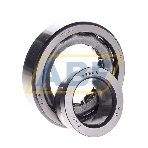 17306 FAG