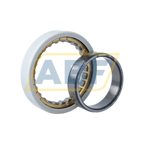 NU1012-XL-M1-F1-J20AA-C4 FAG