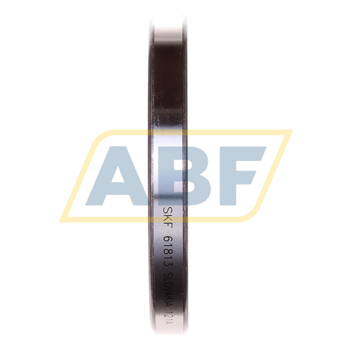61813 SKF