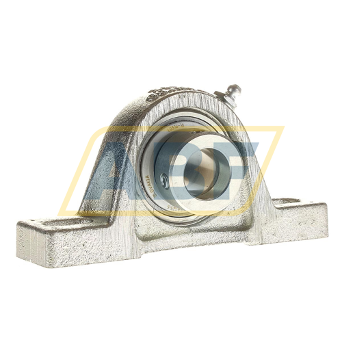RASE20-N-FA125 INA
