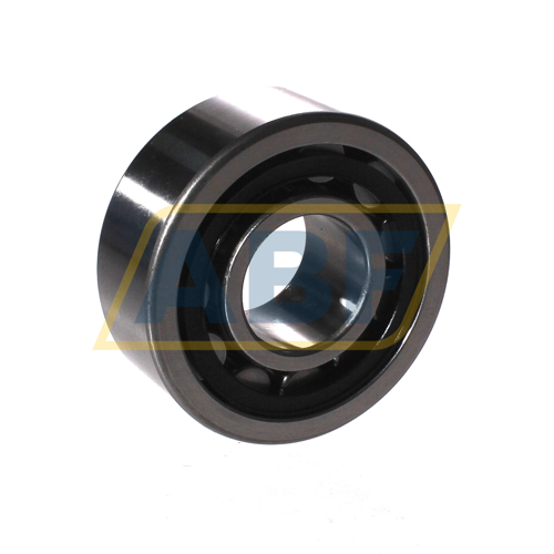 NU2305-E-TVP3-C3 NKE