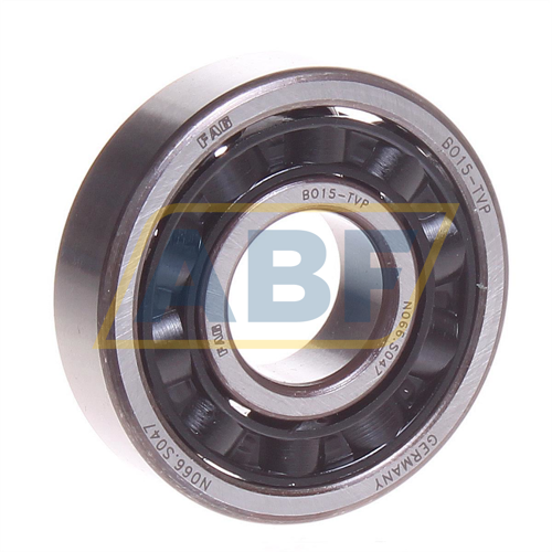 BO15TVP FAG