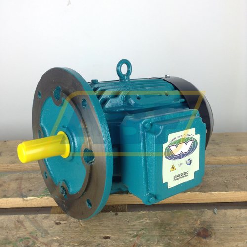 W-DF100LJ-D-B5 Brook Crompton